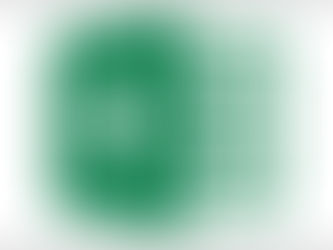 Data/Application Software