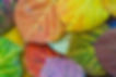 Leaves.Photo.jpg