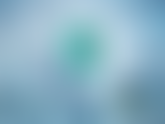 Highlighting Accessibility Shield: Why Accessibility Matters