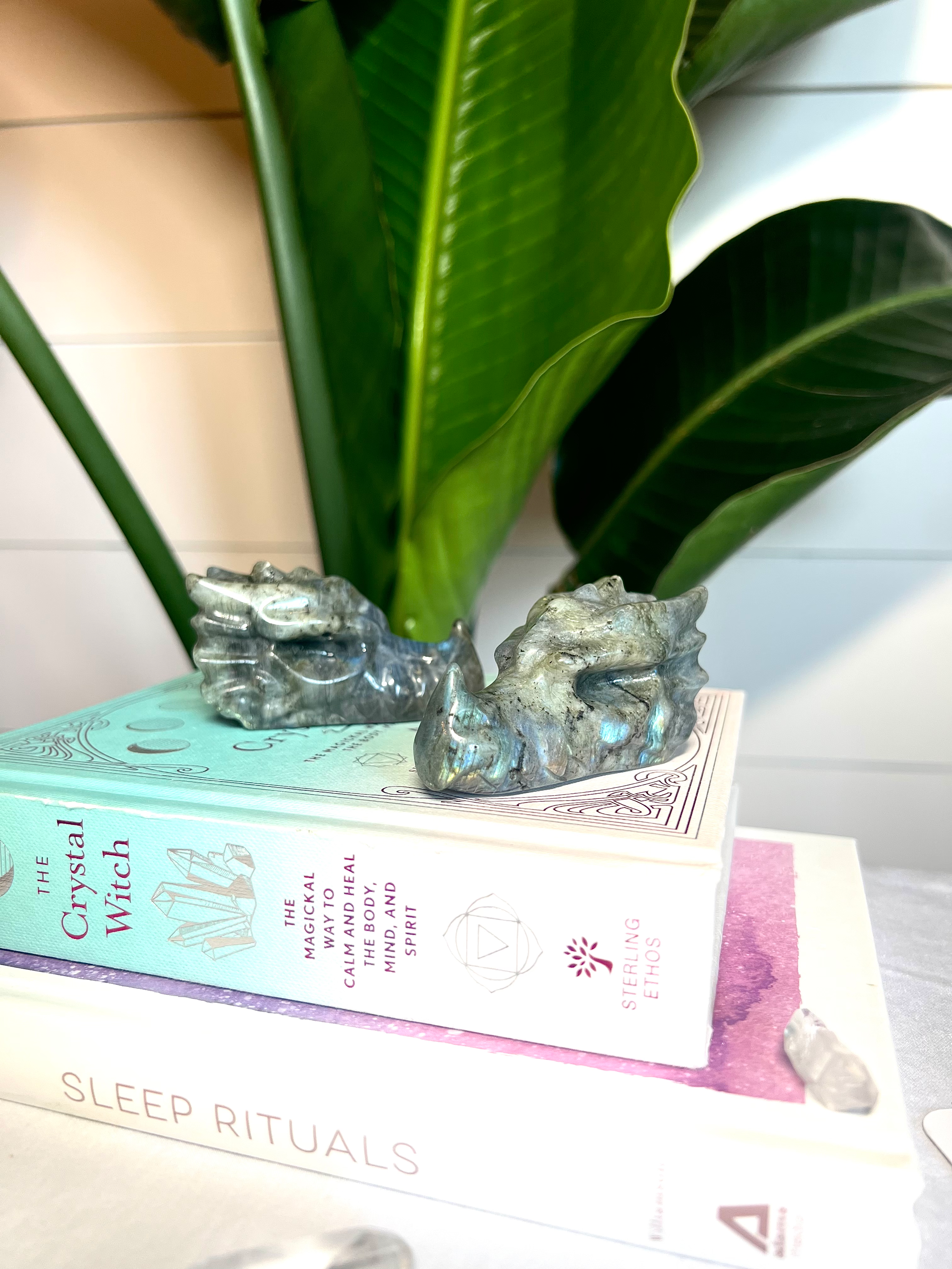 Labradorite Dragon Skull