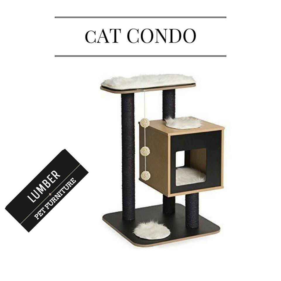 Cat Cndo-2
