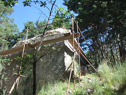 DSCF1451.JPG