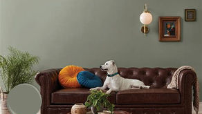 Valspar Warm Eucalyptus 8004-28F: A Calm, Grounded Paint Color for 2026