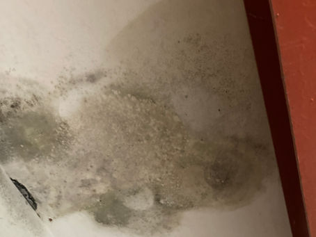 The Importance of Repairing (Water) Damaged Drywall: Why You Shouldn't Delay. Serving Phoenixville, Royersford, Chester Springs PA and surrounding areas.