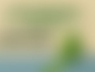 Why Choosing the Right Painter’s Tape Matters.