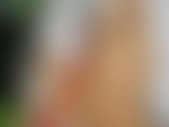 🎨 Paint Tips: Use Primer When in Doubt