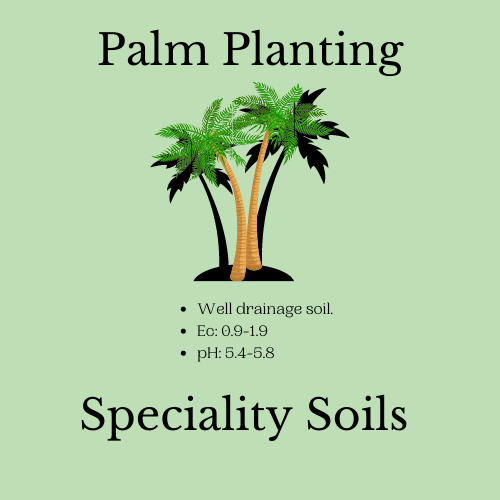 Palm Planting Speciality Soils