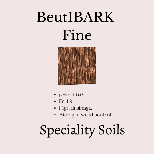 Fine Black BeautIBARK