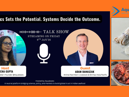 From volume to value, from fragments to systems