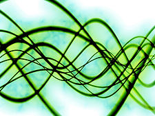 Sine%20Waves_3891863_INVERTED-filtered-339_edited.jpg