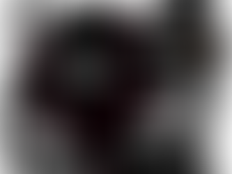 【サラ・フェアリー】パネル配分はこちら!超絶可愛いのでぜひ見てほしいな🔥