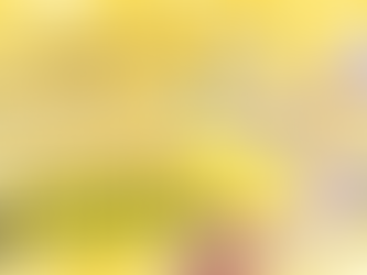 10月19日【土】~ノラプロ第二弾オリソン 「a new wind blows」が、全国のカラオケ店にて 「JOYサウンドのカラオケ」で歌えるようになりますっ♪