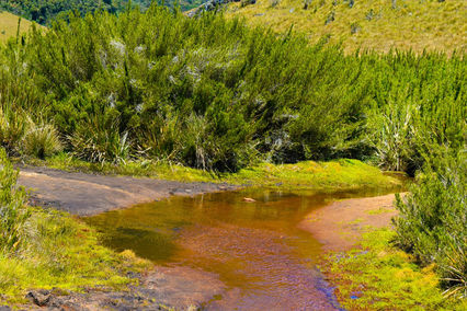 Hortain Plains
