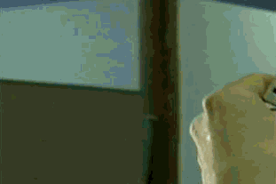 gipdwdwdw33hy.gif