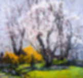 Spring on St. Joseph Street,  Saugatuck