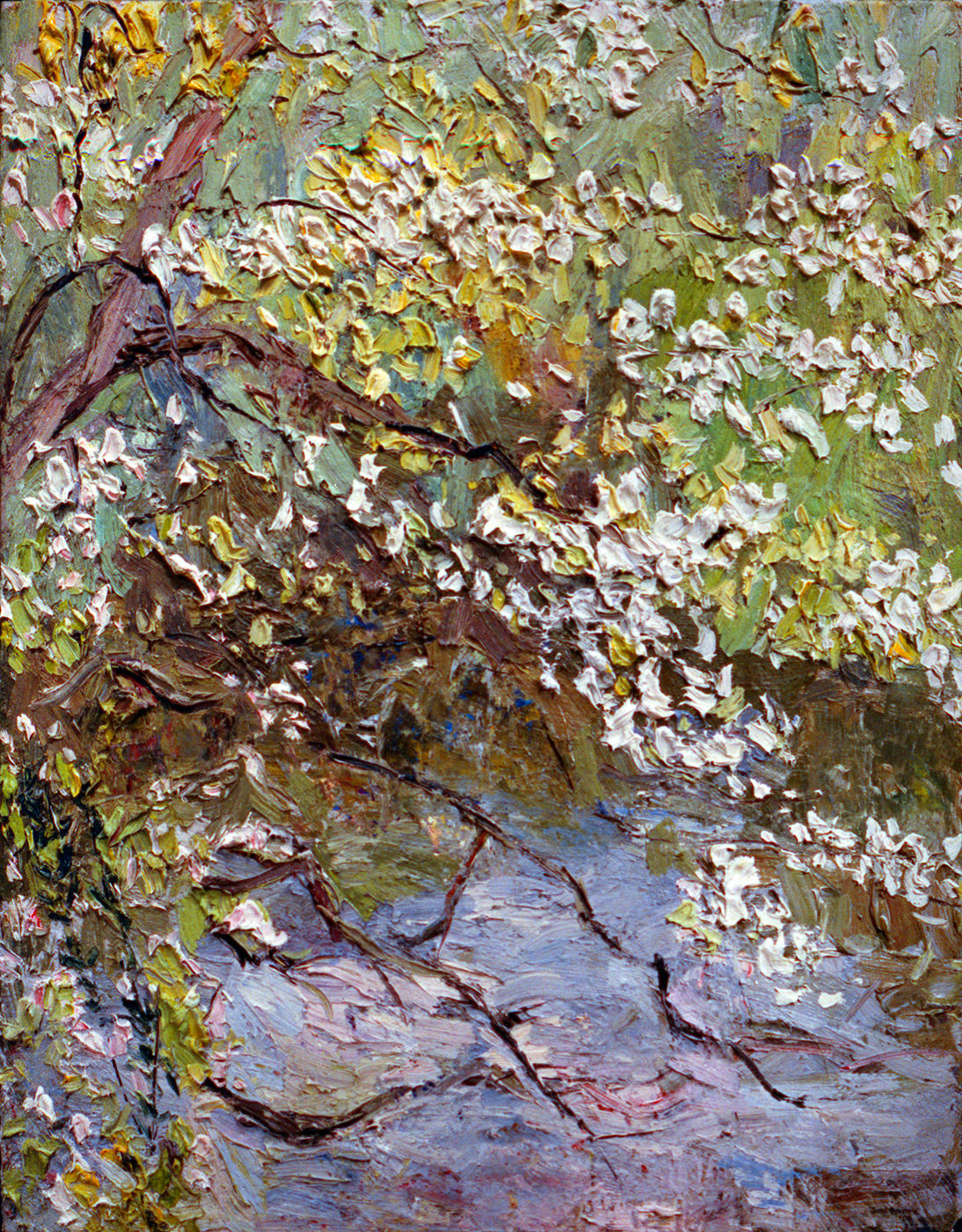 Flowering Dogwood (1998)