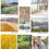 Thumbnail: The Four Seasons of Saugatuck Collection (8)
