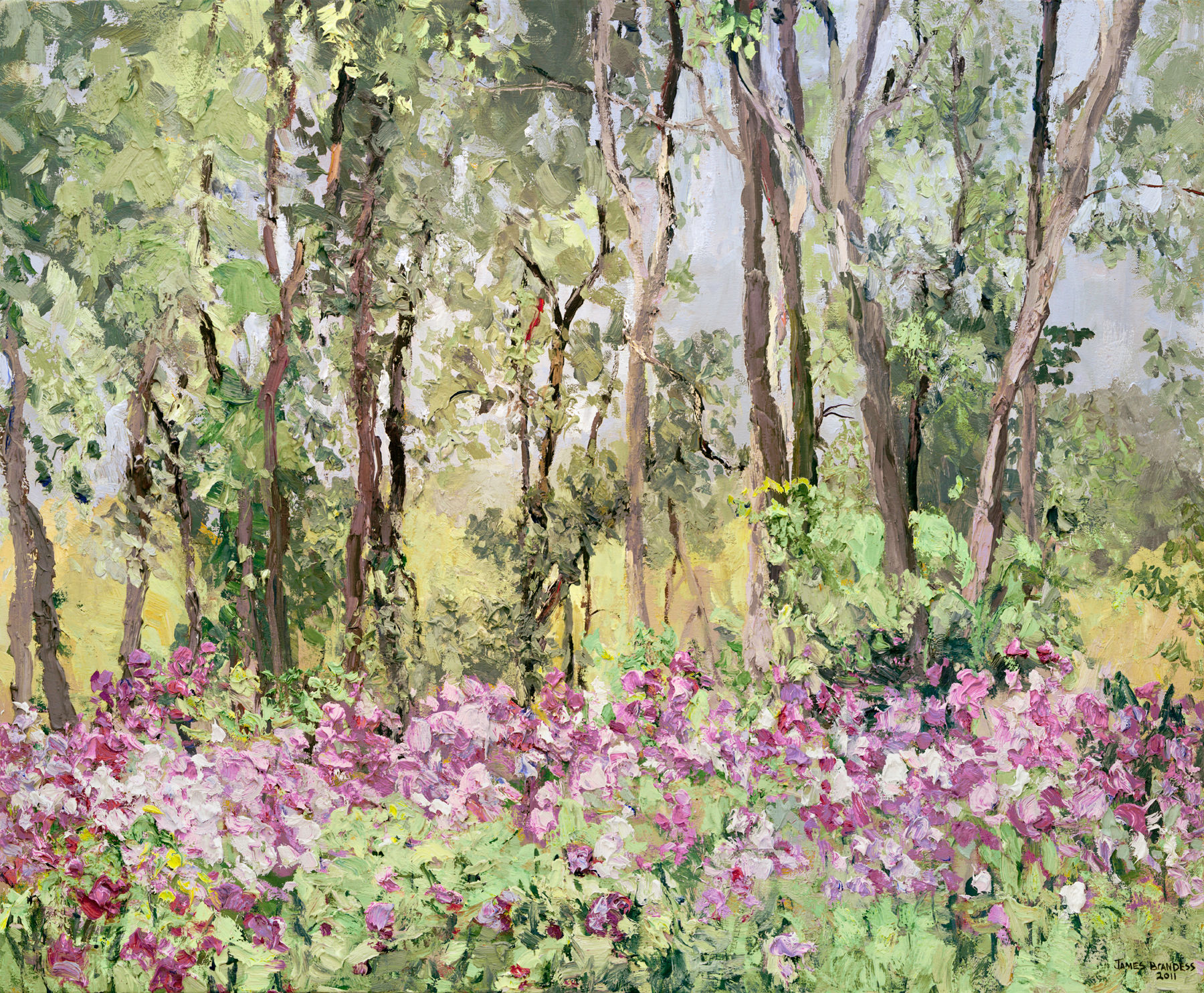 Field of Phlox III (2011)