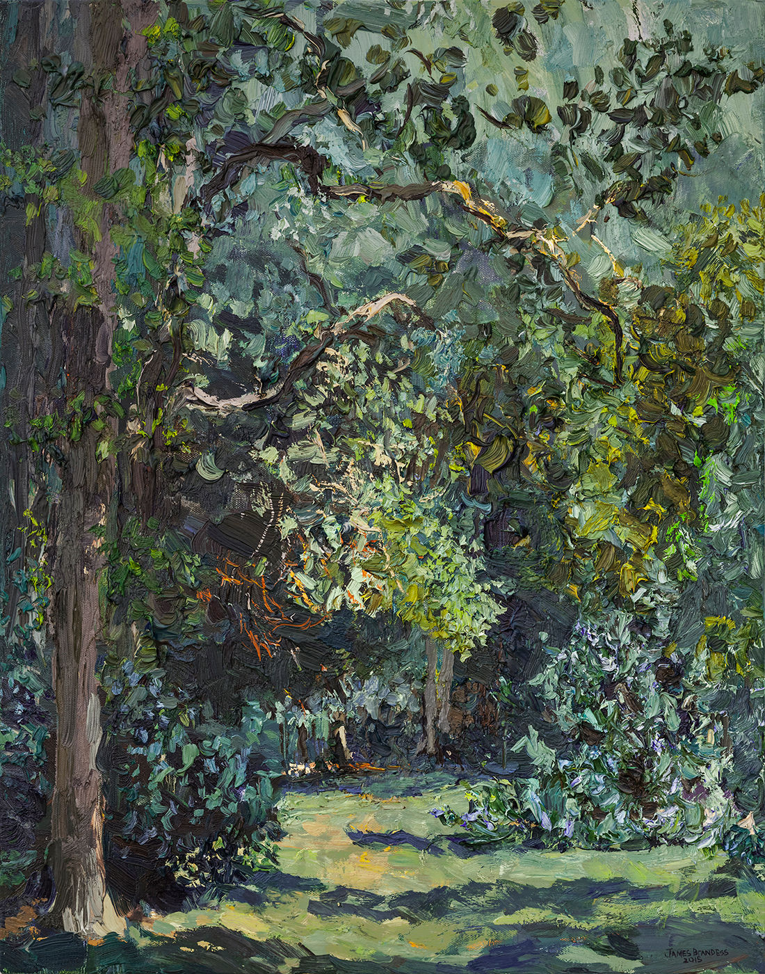 August to September, Lakeshore, Late Summer (2015)