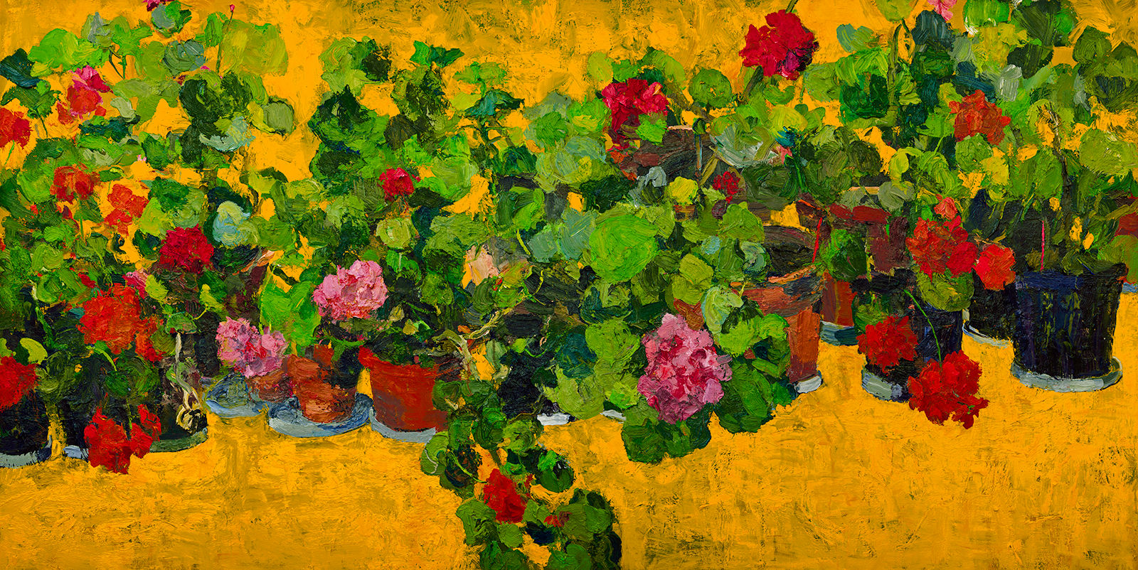 Golden Geraniums (2012)