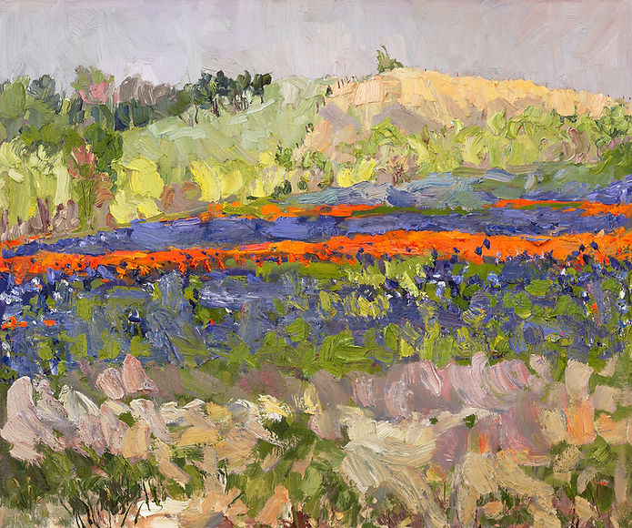 Texas Bluebonnets and Indian Paintbrush II