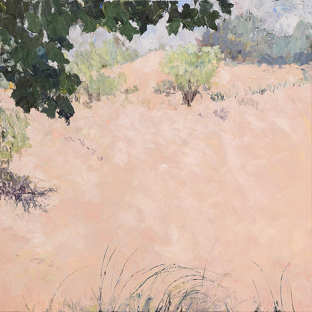 Summer Dunes (2017).jpg