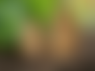 Eco-Friendly Gardening Supplies at Nature's Work