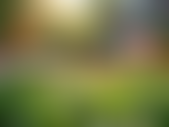 Rediscover the Joys of Connecting with Nature in Your Backyard