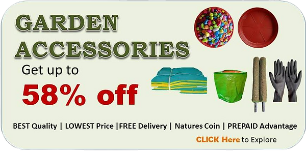 Get all accessories