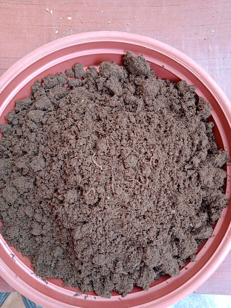 Thumbnail: Vermi Compost