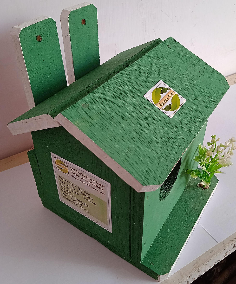 Thumbnail: Bird house upper