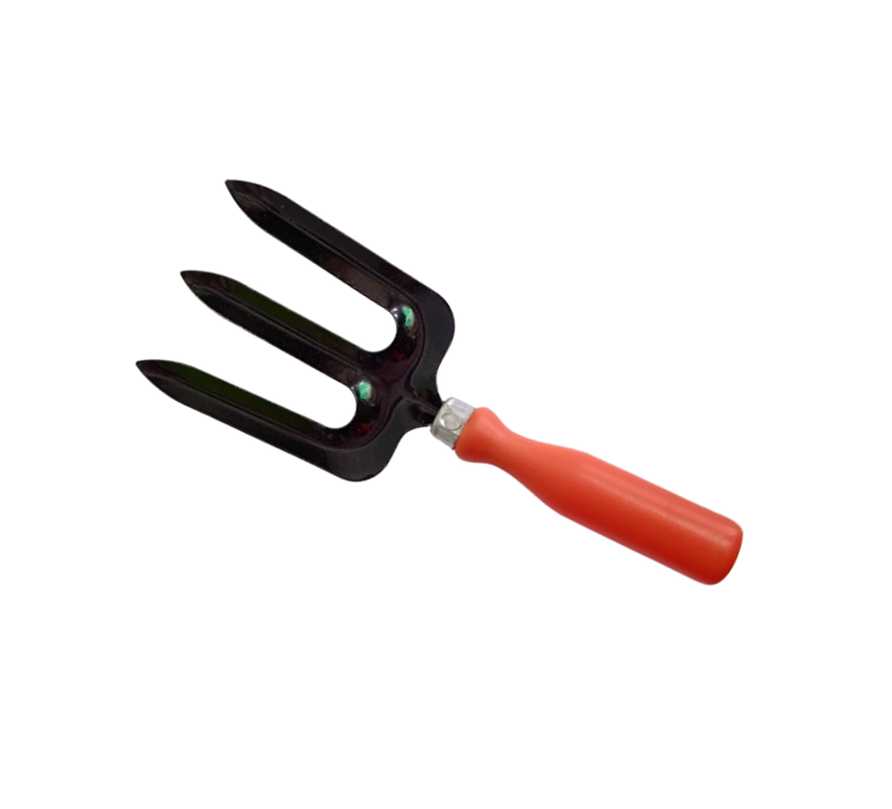 Fork