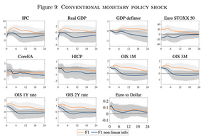 Monetary Policy, Information and Country Risk Shocks in the Euro Area
