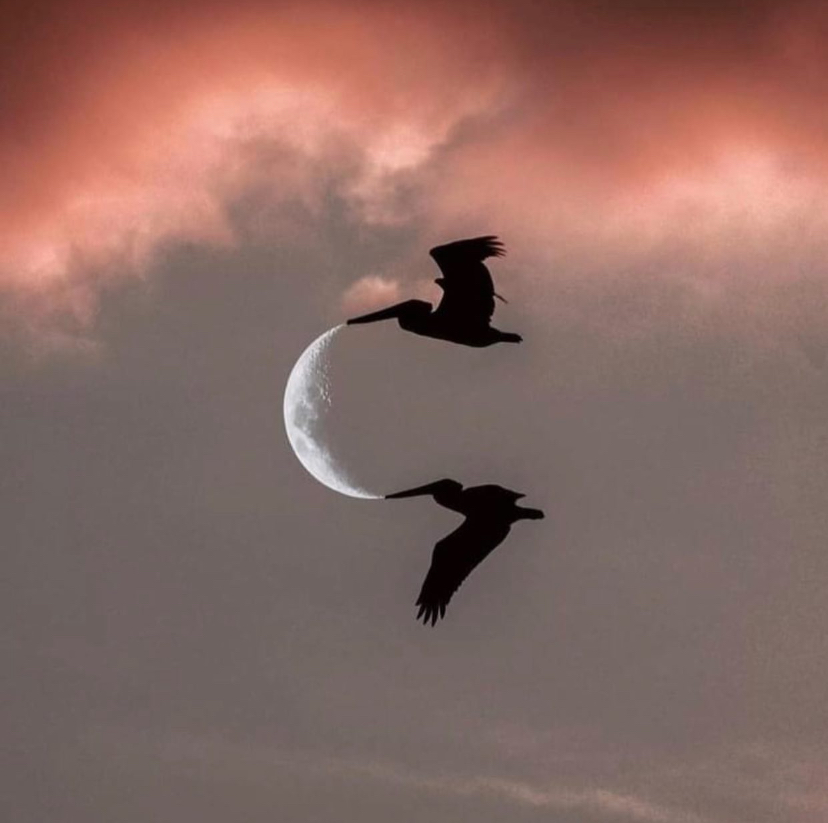 Writer: Kathleen Tormey