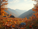Fall Equinox: Grounding practices, nutrition & restorative yoga this Friday
