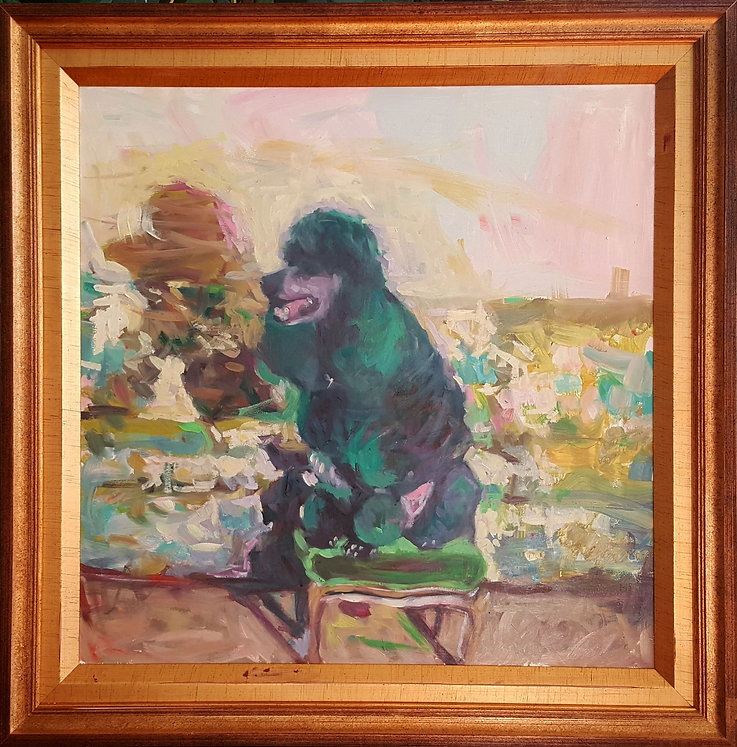poodle+on+velvet+stool+in+frame.jpg