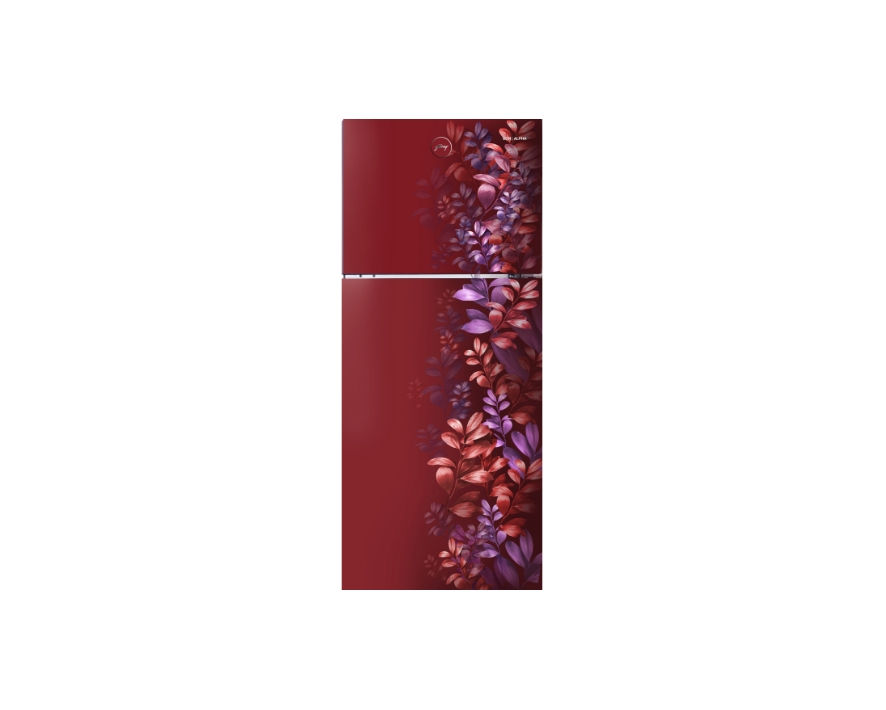 Godrej(RT EONALPHA 250B RI AR WN) 2 Star 233 L Double Door Refrigerator