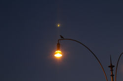 IMG_7669.JPG