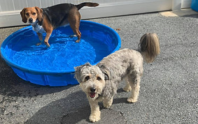 Coventry - Day Camp 19.jpg