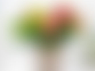 Porque las personas compran flores artificiales?