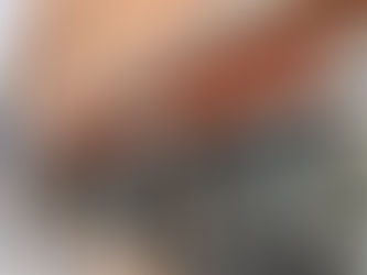 Komplettbeschriftung Fahrschule Ladner Imst | Triol