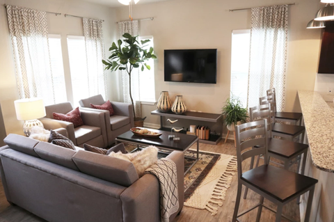 Flat Screen TV in Every Livingroom