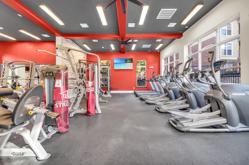 Ellipticals and Treadmills in Fitness Center.