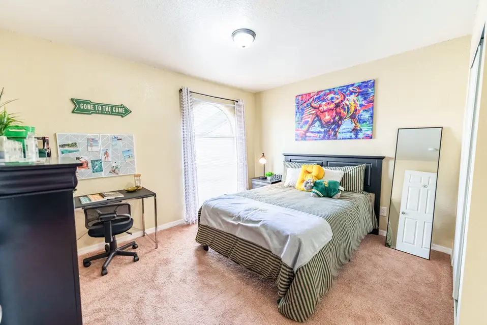 Private Student Bedroom Fully Furnished - Student Housing near USF
