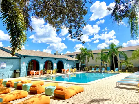 Olympic Style Swimming Pool - Apartments Around USF