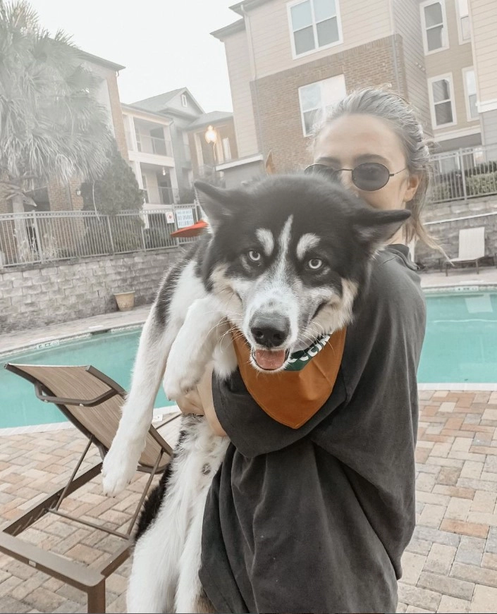 Pet Friendly Property