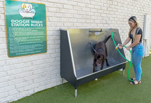 Doggie Wash Station in the Dog Park - Student Apartments in Tampa, FL
