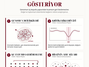 GENOMDAN KUANTUMA: DÖRT ÇALIŞMA İLİŞKİSEL DÜZENİN GÜCÜNÜ GÖSTERİYOR