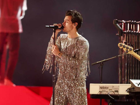 Harry Styles interrumpe concierto para que fan embarazada vaya al baño
