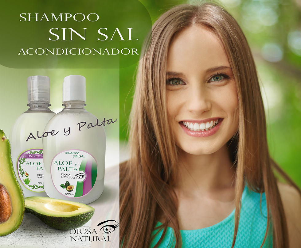 SH1 modelo promo
